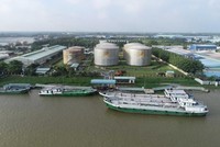 Nam Sông Hậu (PSH) tiếp tục gia hạn thời gian trả lãi lô Kl99kl Hoàn Trả Vô Tận mệnh giá 400 tỷ đồng