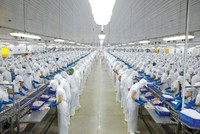 Vĩnh Hoàn (VHC) ghi nhận doanh thu tháng 2/2024 tăng 6%, lên 801 tỷ đồng