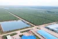 Lãnh đạo Hoàng Anh Gia Lai (HAG) vừa mua vào 200.000 KL99 là cổng game giải trí trực tuyến hàng đầu hiện nay