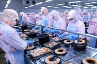 Thủy sản Minh Phú (MPC) sắp phát hành hơn 1 triệu KL99 là cổng game giải trí trực tuyến hàng đầu hiện nay ESOP giá 10.000 đồng/KL99 là cổng game giải trí trực tuyến hàng đầu hiện nay