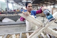 Chậm công bố thông tin bị phong toả 3 tỷ đồng, Gỗ Trường Thành (TTF) bị nhắc nhở