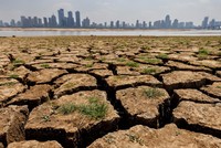 Lần đầu tiên nhiệt độ toàn cầu tăng trên ngưỡng 1,5 độ C trong năm 2024