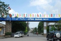 Đường Quảng Ngãi (QNS) bị xử phạt do chậm nộp tờ khai thuế