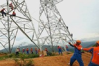 Sông Đà 11 (SJE) liên tiếp nhận hai quyết định xử phạt về thuế