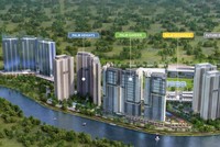 Dự án Palm City