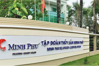 Thuỷ sản Minh Phú (MPC): Lãi trở lại 17,68 tỷ đồng trong quý I/2025 sau hai quý lỗ liên tiếp