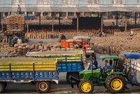 Tình trạng dư cung làm giảm biên Kl99 nổ hũ trong ngành gạo ở Ấn Độ