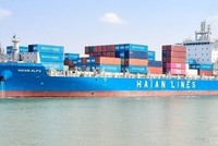 Hải An (HAH) và Viconship (VSC) bắt tay thành lập Kl991.com World Cup 2026 Chính Thức có vốn điều lệ 1.000 tỷ đồng