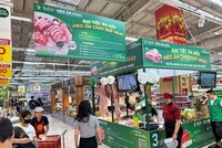 BaF Việt Nam (BAF) muốn huy động tối đa 1.000 tỷ đồng Kl99kl Hoàn Trả Vô Tận để trả nợ và bổ sung vốn
