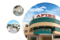 Afiex (AFX) muốn bán toàn bộ 15% vốn tại đơn vị Kl992 VIP Trang Chủ 2026 siêu thị