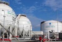 Xây lắp Dầu khí Việt Nam (PVX) bị phạt 202,5 triệu đồng do vi phạm nghĩa vụ công bố thông tin