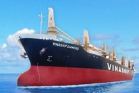 Vinaship (VNA) chỉ thực hiện được 46,2% kế hoạch lãi trong năm 2025