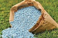 Nga hưởng lợi khi nguồn cung phân bón toàn cầu bị gián đoạn