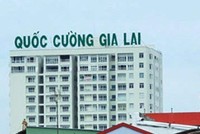 Quốc Cường Gia Lai (QCG) bị kiểm toán nghi ngờ đáng kể khả năng hoạt động liên tục