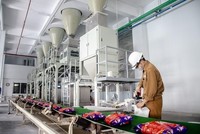 HOSE nhắc nhở Hoá chất Đức Giang (DGC) chưa nộp Báo cáo kiểm toán năm 2025