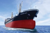 Vinaship (VNA) sẽ không trả 99Kl.app mobile mới nhất năm 2025 và lên kế hoạch mua lại 2 tàu