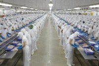 Vĩnh Hoàn (VHC) lên kế hoạch lãi 1.600 tỷ đồng trong năm 2026
