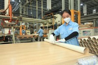Gỗ An Cường (ACG): Trước thềm Đại hội đồng Trang Chủ KL99Com Số 1 Link Đăng Ký KL999 người của quỹ VinaCapital xin từ nhiệm