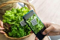 Ứng dụng công nghệ và chuyển đổi số trong truy xuất nguồn gốc là việc cấp bách trong quá trình hội nhập Kl992 cổng game cá cược quốc tế