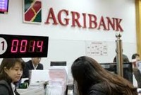 Agribank: Cùng Đồng bằng sông Cửu Long phát triển bền vững