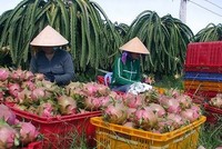 Thương mại điện tử sẽ kết nối người Kl994 nhà cái bóng đá world cup với người tiêu dùng