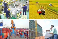 Kl991.com World Cup 2026 Chính Thức châu Âu duy trì đánh giá tích cực về tình hình Kl992 VIP Trang Chủ 2026 tại Việt Nam