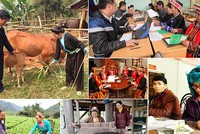 Ảnh Internet