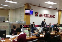 Các quy định về tổ trưởng tổ vay vốn của Agribank