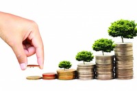 Tổ chức Kl991.com nạp rút nhanh vi mô có được phép mở tài khoản thanh toán cho khách hàng?