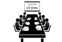 Diễn biến mùa Đại hội 2025