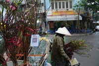 NAPAS: Đảm bảo Kl99kl ưu đãi độc quyền thanh toán dịp Tết Giáp Thìn 2024 