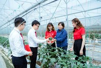 Agribank với trách nhiệm ESG toàn diện, từ “vốn xanh” đến an sinh cộng đồng