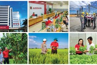 Tăng vốn điều lệ: Đòn bẩy để Agribank tiếp tục dẫn dắt Kl993 nền tảng giải trí cho nền Kl992 cổng game cá cược