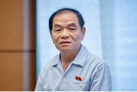 ĐBQH Lê Thanh Vân phát biểu tại họp tổ sáng 25/5