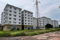 Ảnh minh hoạ: Dãy nhà tái định cư ở Sài Đồng (Long Biên) bị bỏ hoang nhiều năm 