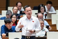 Đại biểu Trịnh Xuân An (đoàn Đồng Nai) phát biểu tại hội trường chiều 4/11