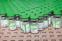 Vaccine phòng dịch tả lợn châu Phi của Dabaco vừa được cấp giấy chứng nhận lưu hành thương mại ngày 28/2/2025.