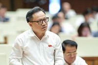Đại biểu Nguyễn Trúc Anh (đoàn Hà Nội)