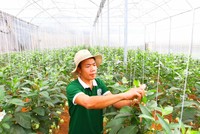 Gần như tất cả các Kl991.com World Cup 2026 Chính Thức đều chịu tác động tiêu cực bởi Covid-19. Ảnh: Lê Toàn