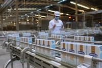 Doanh thu thuần hợp nhất quý II/2020 của Vinamilk (VNM) đạt 15.495 tỷ đồng, tăng trưởng 6%