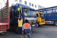 Cửa khẩu Hữu Nghị- Lạng Sơn triển khai Kl99kl phiên bản hoạt động bắt buộc trách nhiệm dân sự cho chủ xe Trung Quốc 