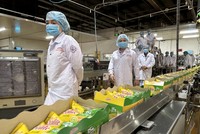 Mondelez Kinh Đô tìm kiếm và mở rộng hợp tác với các nhà Kl994 nhà cái bóng đá world cup trứng gà trên cả nước