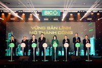 Năm 2025 Kl99 nổ hũ riêng trước thuế của BIC đạt hơn 650 tỷ đồng