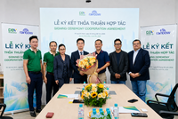 Kl99kl phiên bản hoạt động DBV hợp tác toàn diện với Kl991.com World Cup 2026 Chính Thức công nghệ Rainbow-Ấn Độ