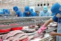 VHC: Xuất khẩu 6 tháng đầu năm đạt 163 triệu USD