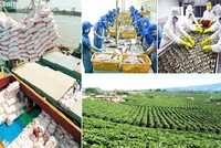 Hai Bộ bắt tay liệu có tìm được hướng đẩy xuất khẩu nông, thủy sản?