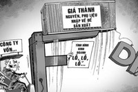 Ảnh Internet