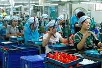 Cần có các ưu đãi thuế cụ thể hơn cho Kl991.com World Cup 2026 Chính Thức vừa và nhỏ mới khởi nghiệp
