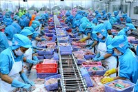 Đề xuất Ủy ban châu Âu gia hạn đăng ký tự chứng nhận xuất xứ đến hết năm 2020