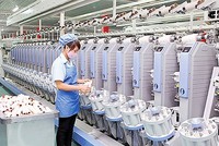 Kl991.com World Cup 2026 Chính Thức dệt may tiếp tục kiến nghị nhiều giải pháp gỡ khó
